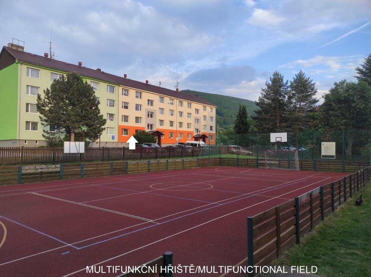 Dobre Misto Appartement Loučná nad Desnou Buitenkant foto